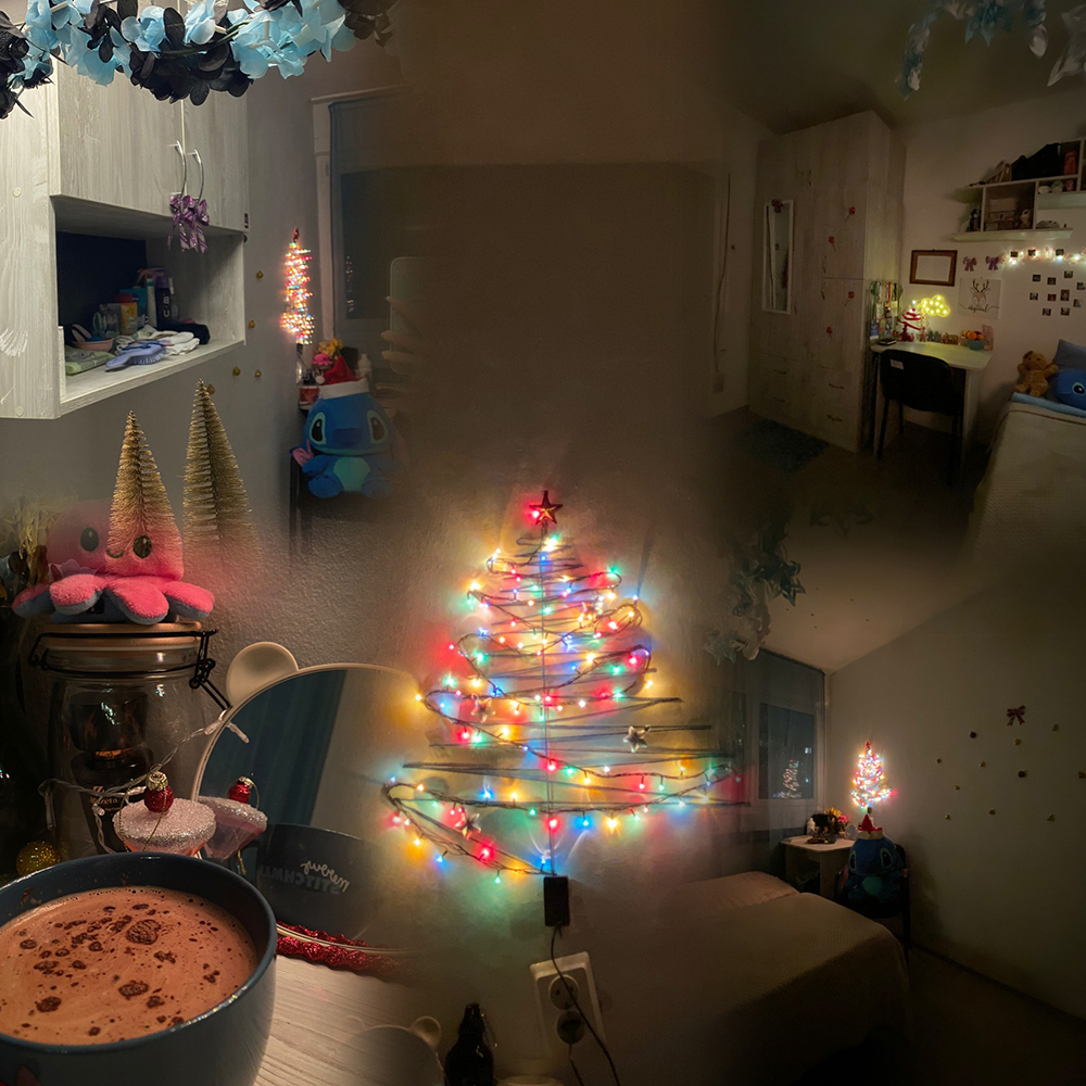 CAMERA UNDE S-AR CAZA MOȘ CRĂCIUN 3