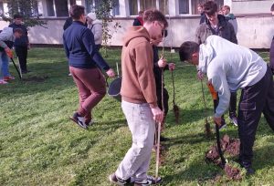 Healthy-Campus-Ajutor-tuiasi-7