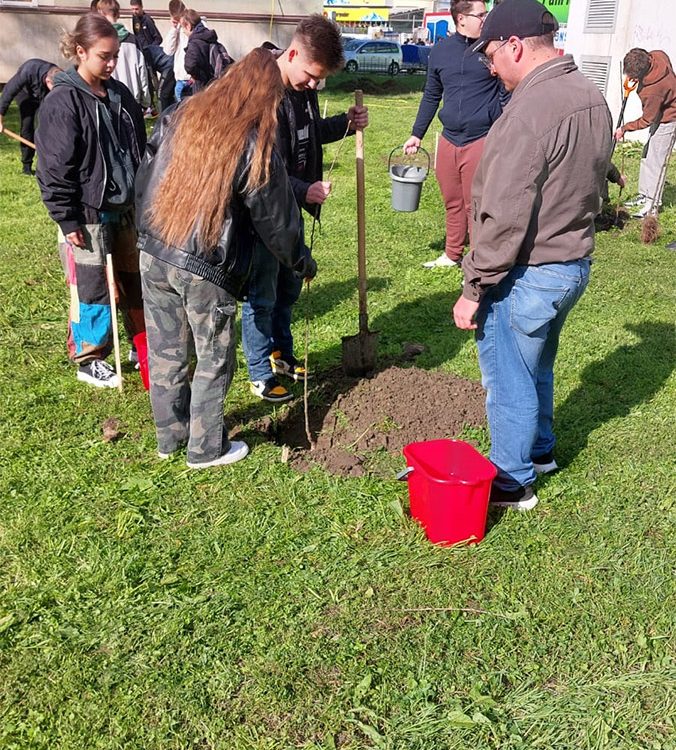 Healthy-Campus-Ajutor-tuiasi-8