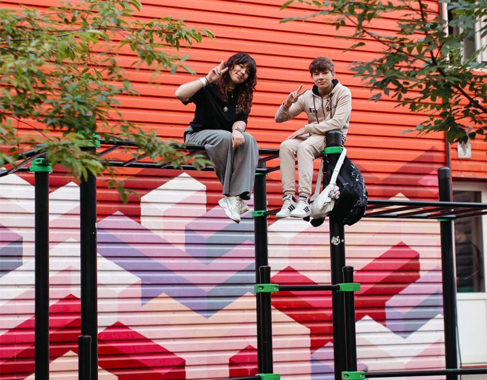 ajutor-tuiasi-calisthenics