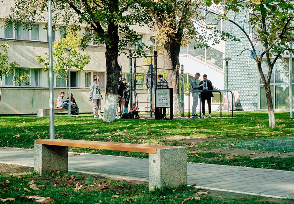 ajutor-tuiasi-parc-T1-2