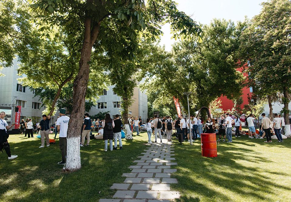 ajutor-tuiasi-parc t10-11-1