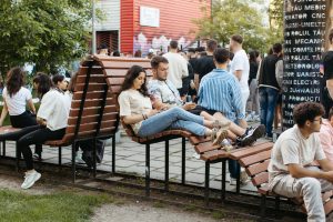 ajutor-tuiasi-parc t10-11-3