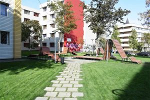 ajutor-tuiasi-parc t10-11