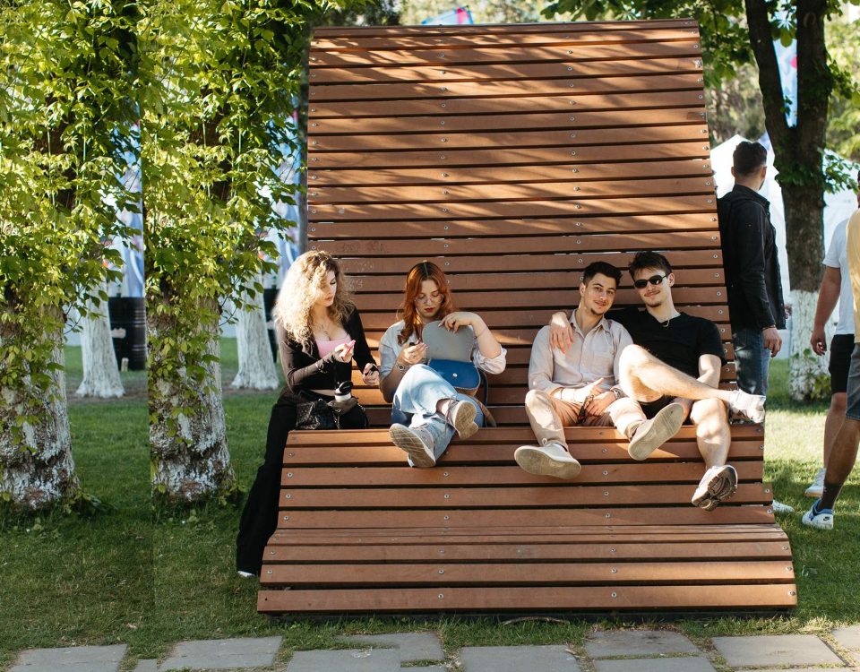 ajutor-tuiasi-parc t10-11-t1-2