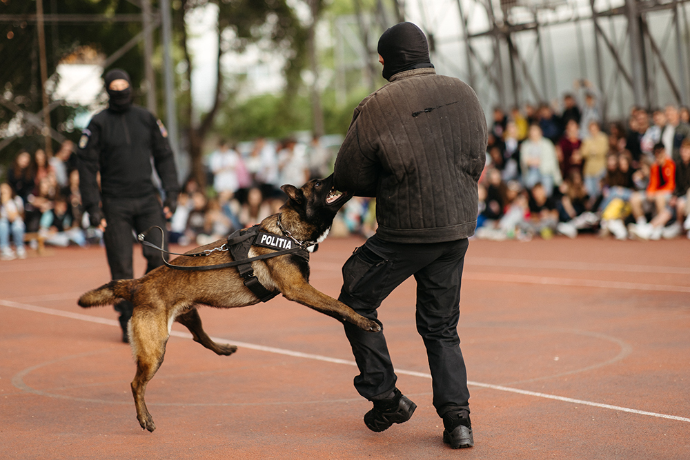 zilelecampusului2025-563